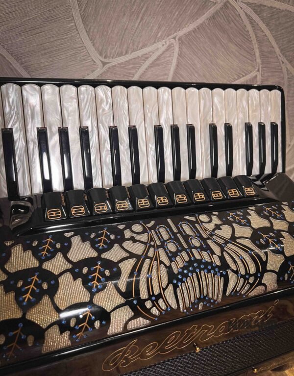 Beltrami Professionale 96 / Musette / OCCASION