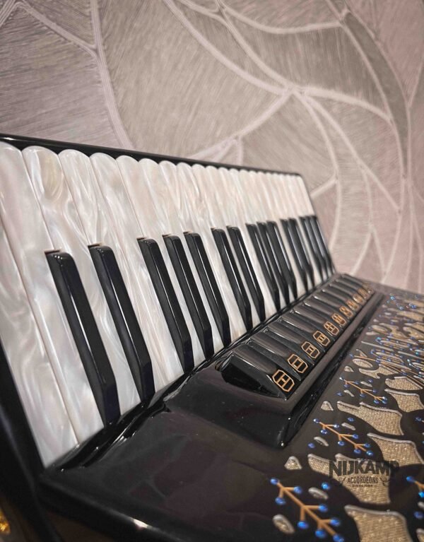 Beltrami Professionale 96 / Musette / OCCASION