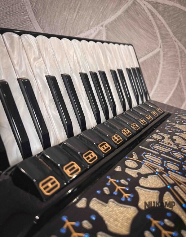 Beltrami Professionale 96 / Musette / OCCASION